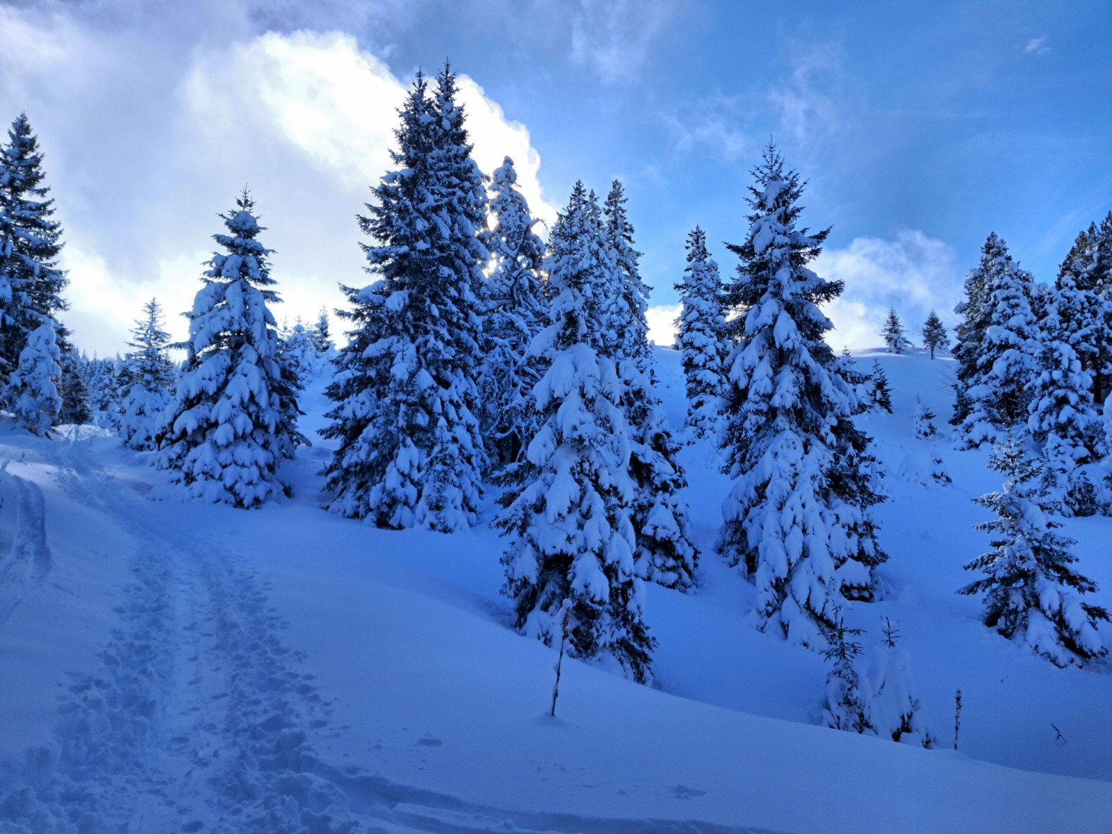 #6 ça se dégage ça se dégage