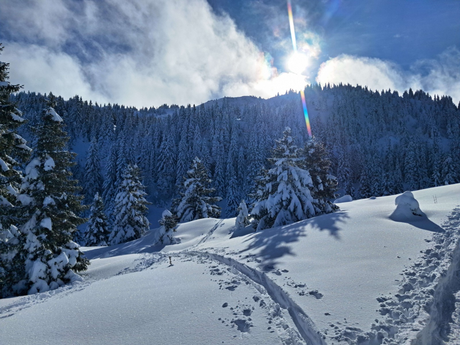 #7 Direction le Crêt de la Neige Direction le Crêt de la Neige