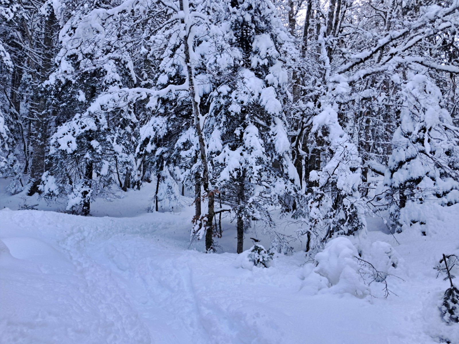 #3 On monte On monte