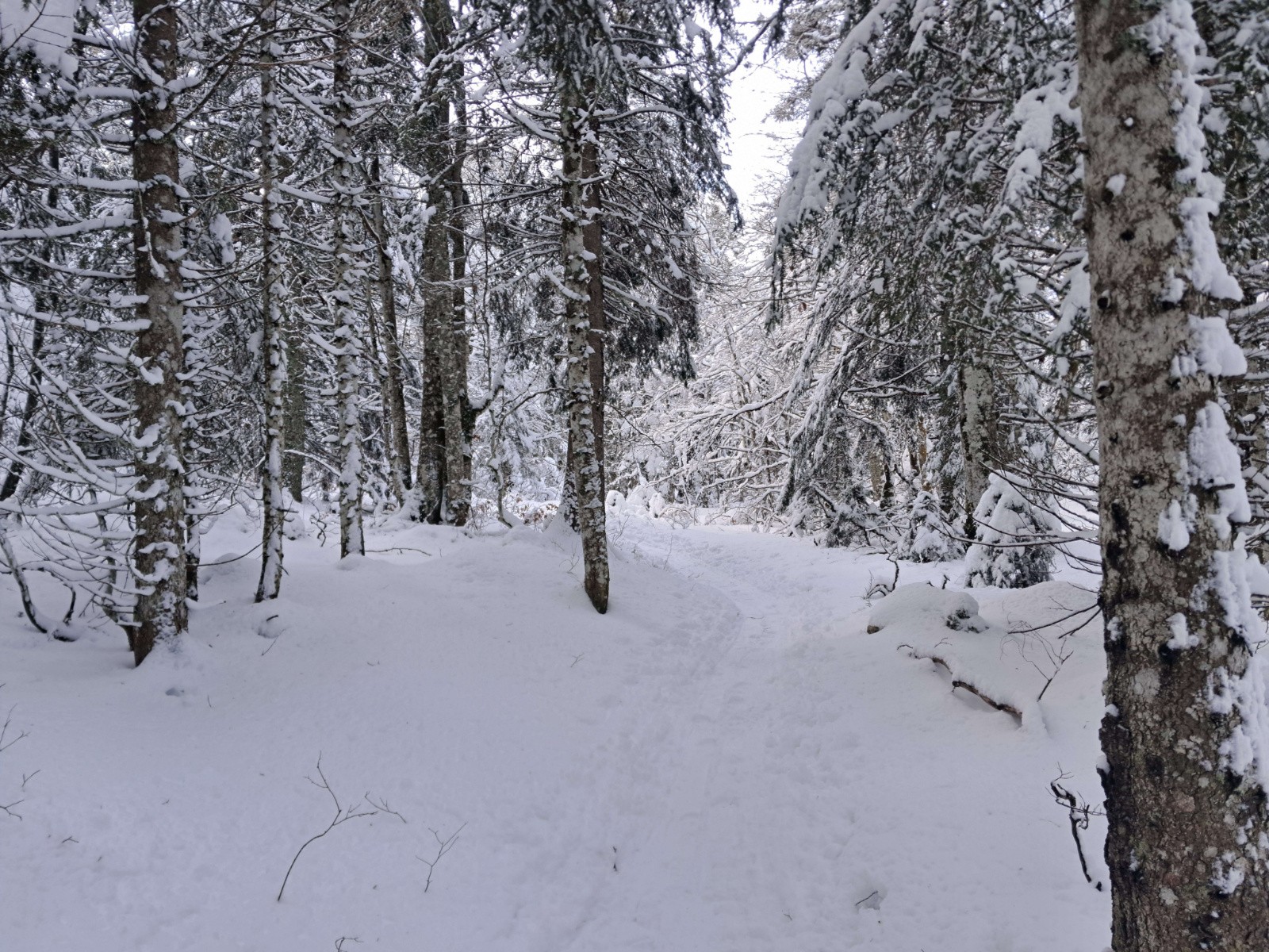 #4 On grimpe toujours On grimpe toujours