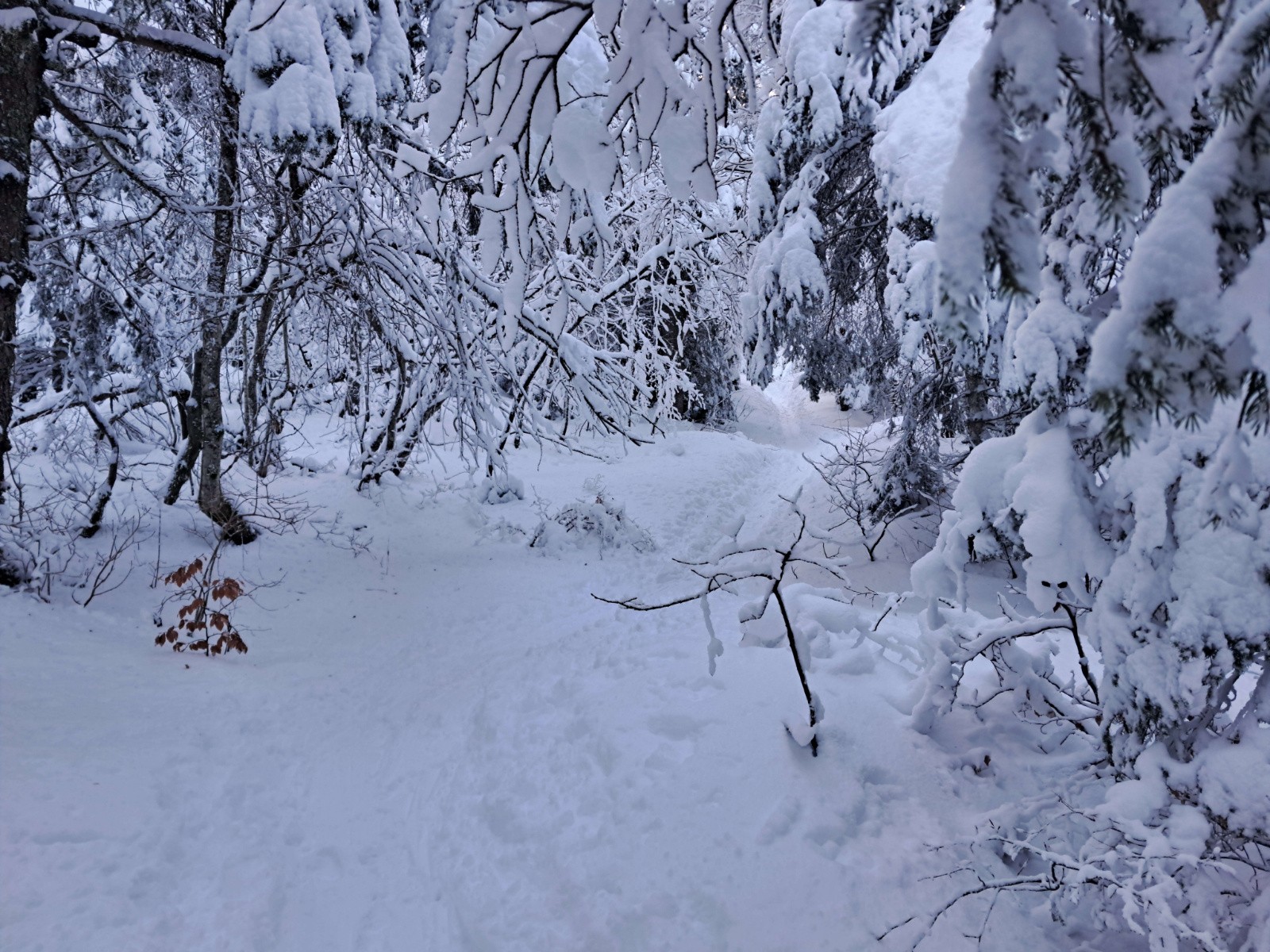 #5 ça commence à être bien blanc ça commence à être bien blanc