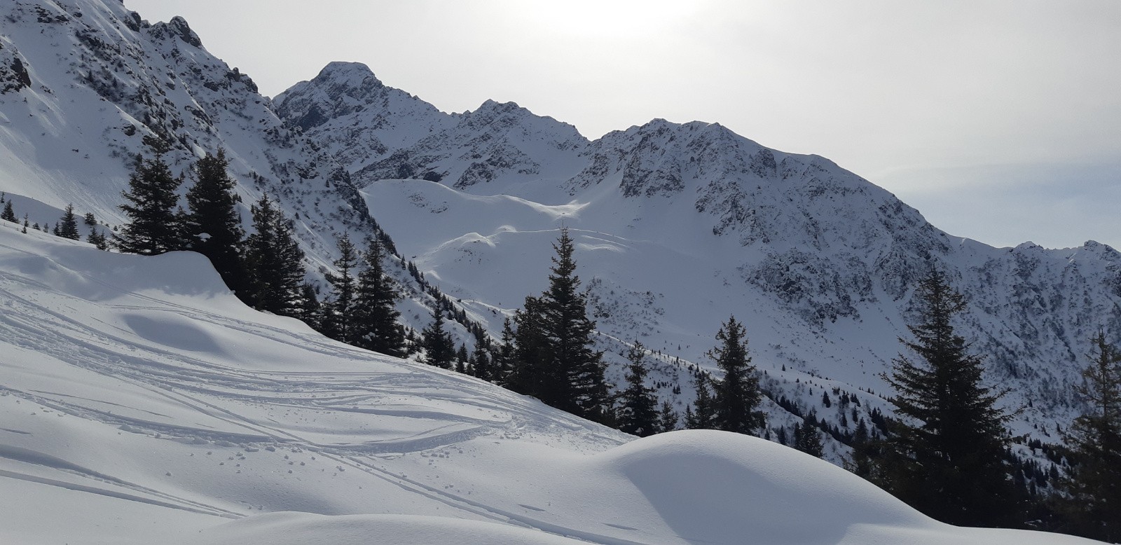 #3 sortie de la forêt sortie de la forêt