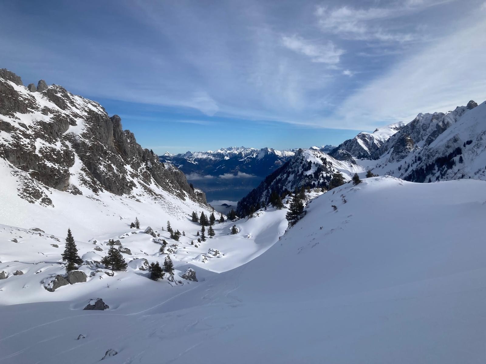 combe de Chauffe Floras&nbsp;