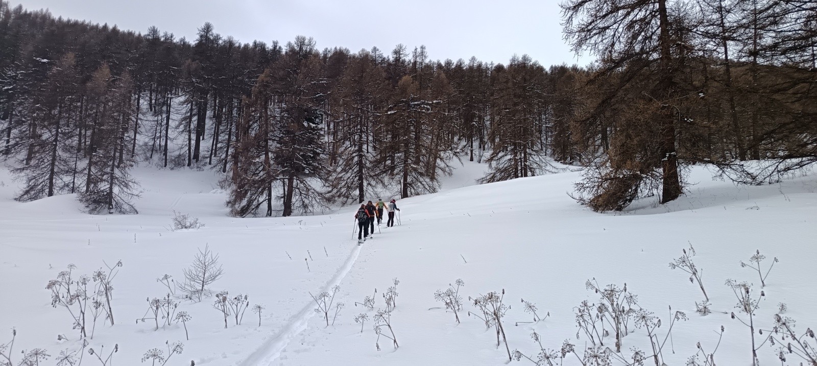 Traçage dès le début&nbsp;