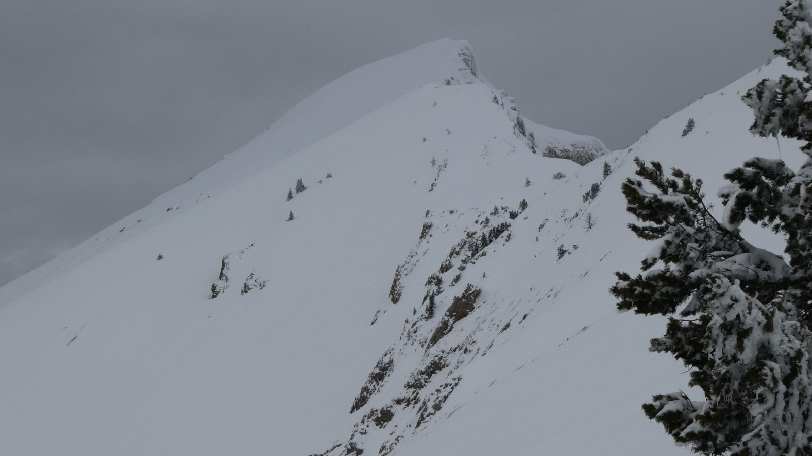 J3 Tête de Garnesier