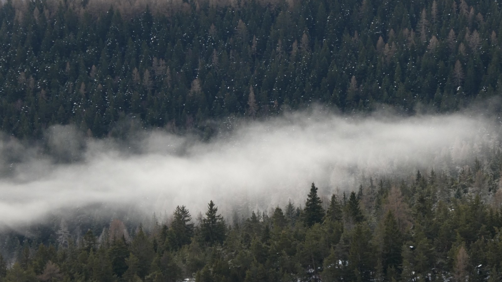 J1 - on pourrait être dans les Vosges...