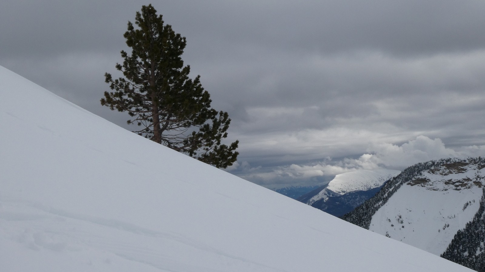 J3 - un solitaire apparemment heureux de l'être