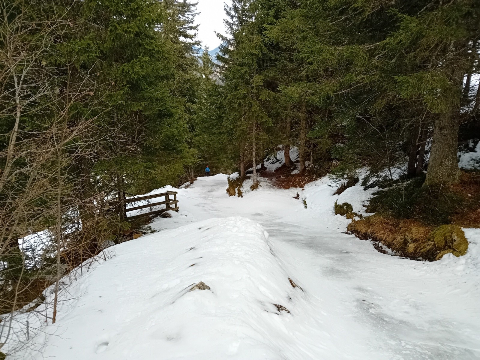 Ca n'a pas l'air sur la photo mais il y a bien plus de glace que de neige.