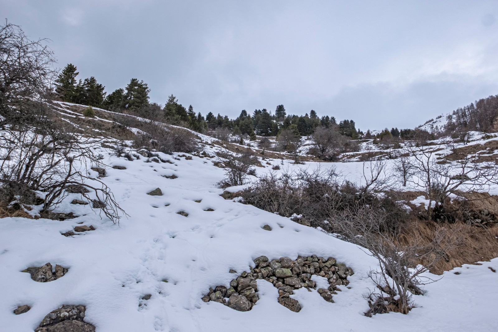 Vu du bas rien ne passe