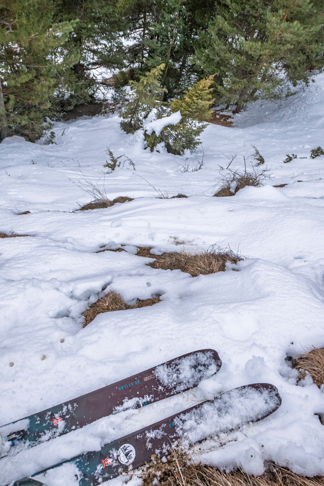 Bien juste dans les raidillons plein sud