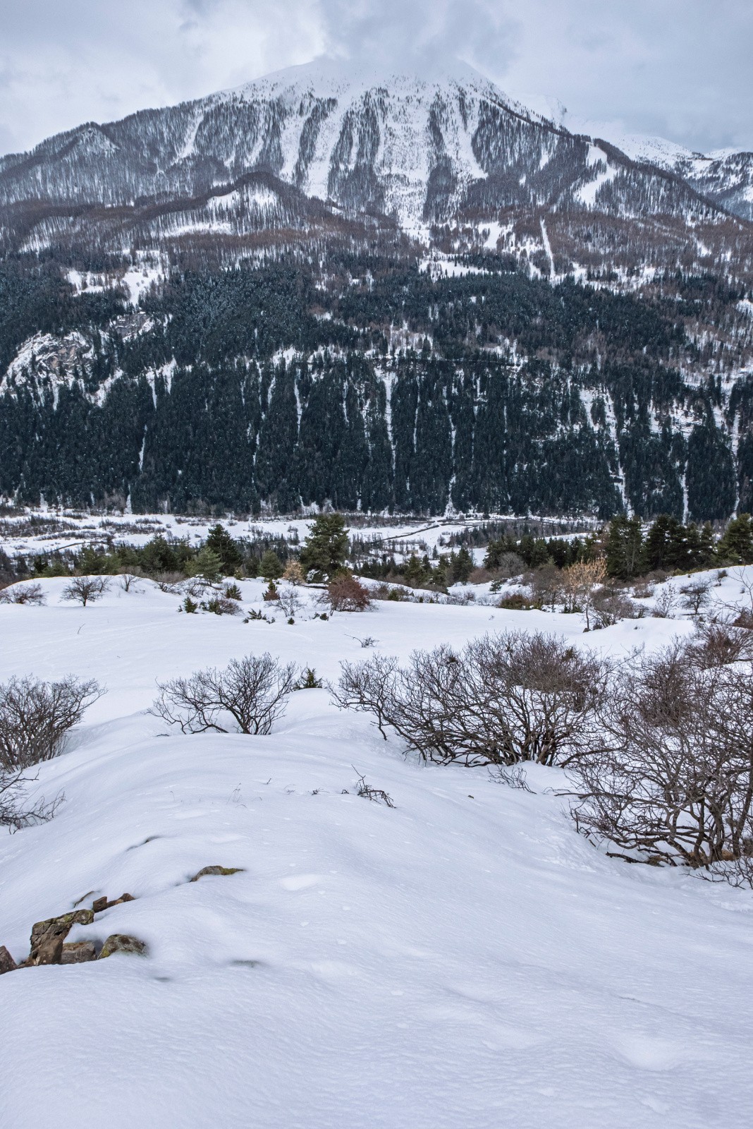 Vu du haut tout passe