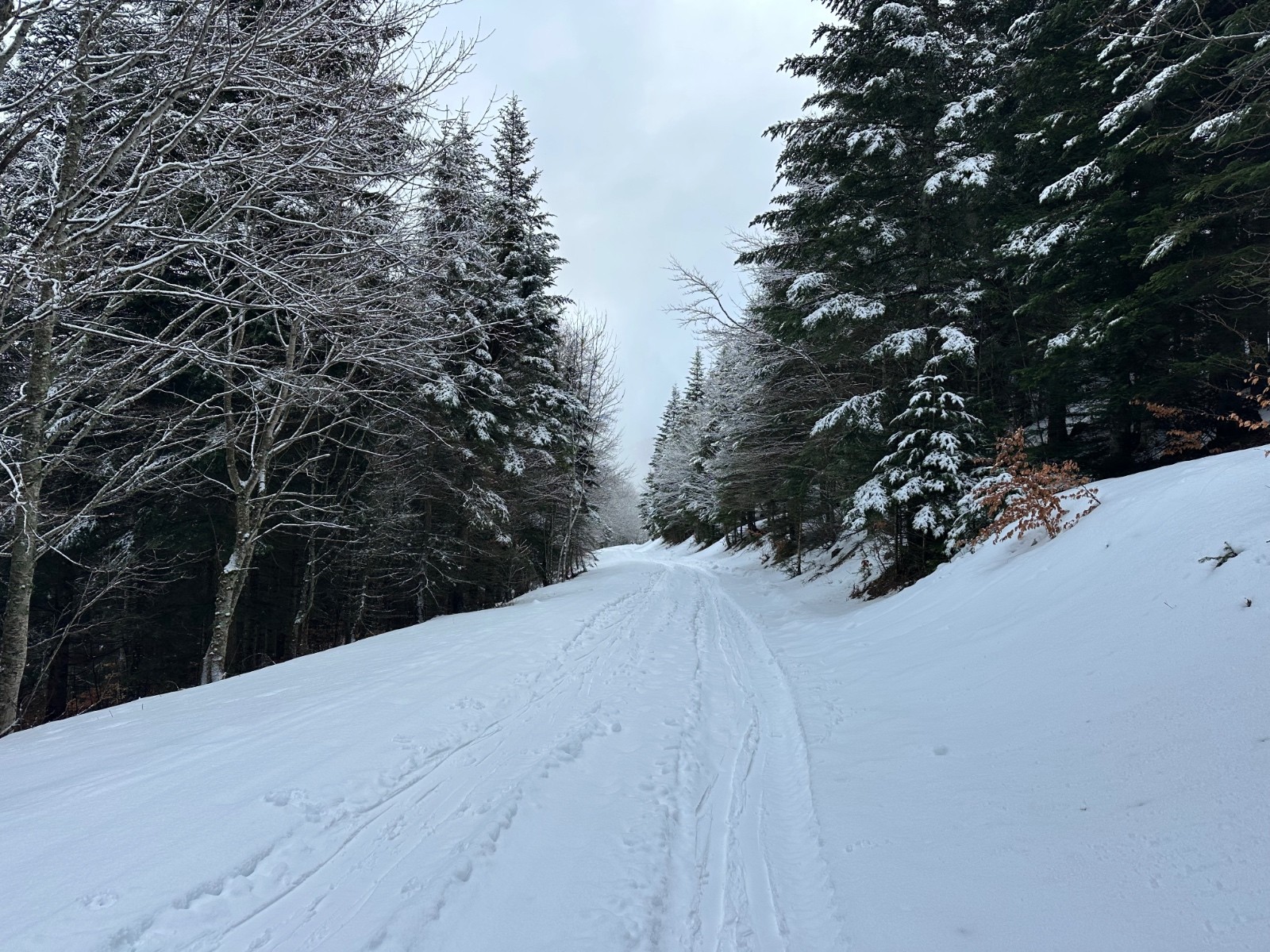 &nbsp;Sur la route avant le virage 1300m