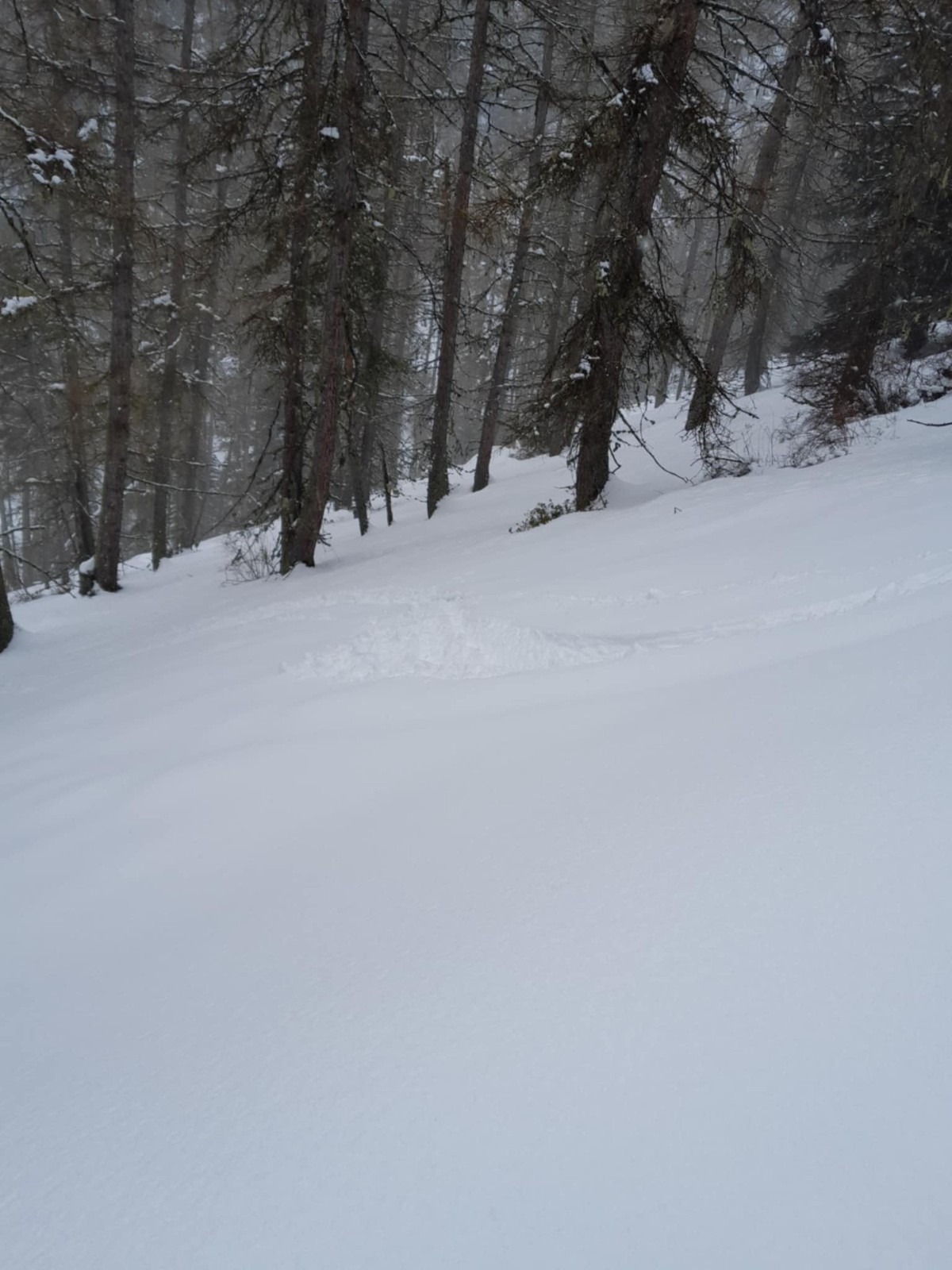C'est lourd mais ça se défend !