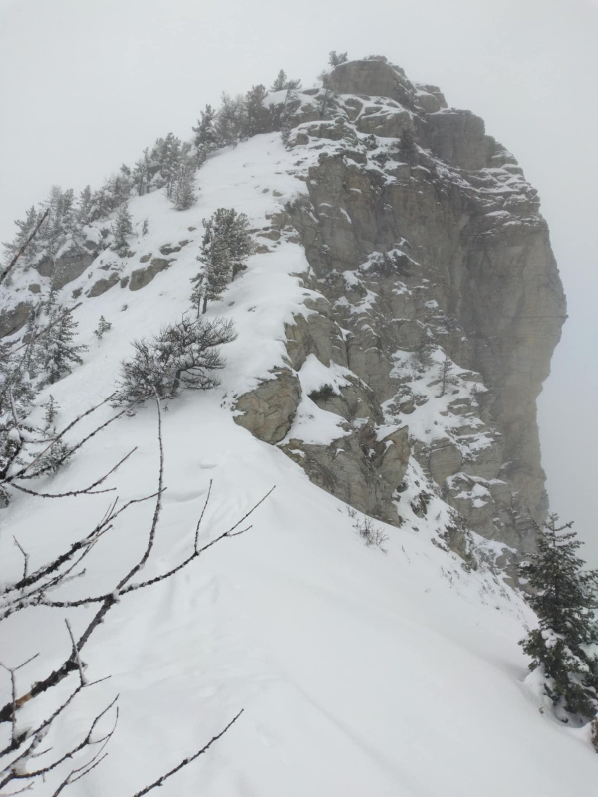 Sommet de l'Aiglière