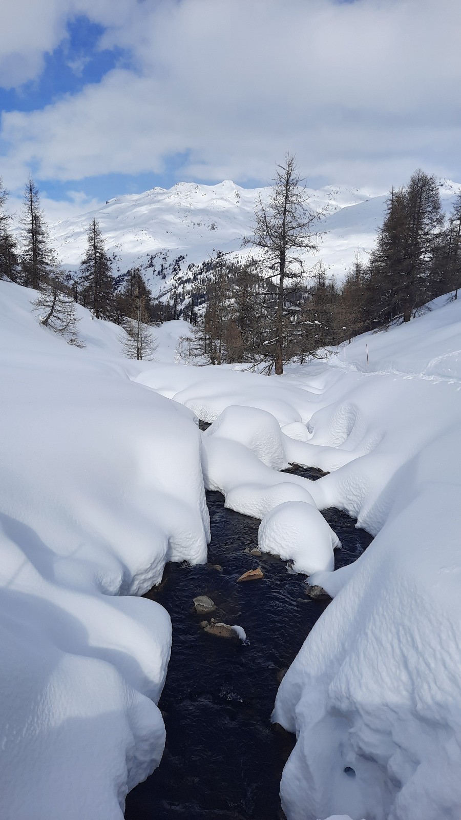 ruisseau du Raisin&nbsp;