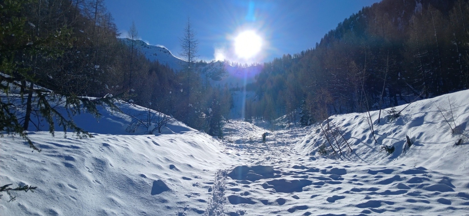 &nbsp;Les boulettes sont là !