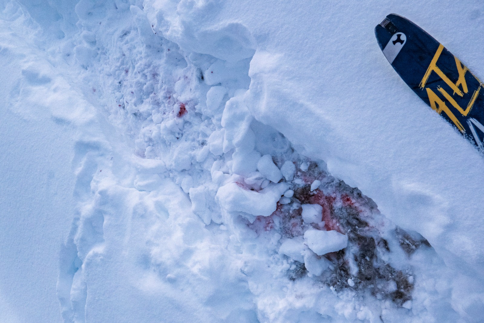 13/02: drame au petit matin: ici le danger n'était pas l'avalanche mais le danger est présent de partout dans cette nature belle mais implacable.
