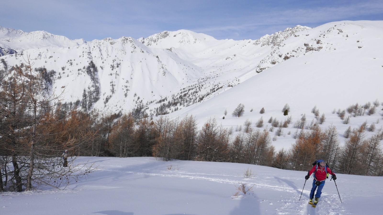 Fin de la forêt devant les Côtes Belles.