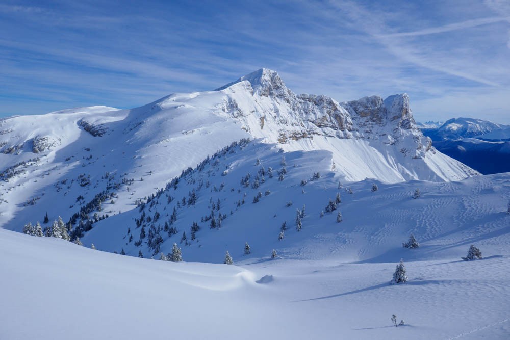 Moucherolle et 2 Soeurs