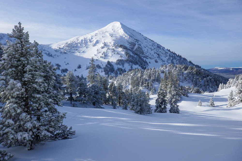 tout Ã§a pour nous tout seuls !
