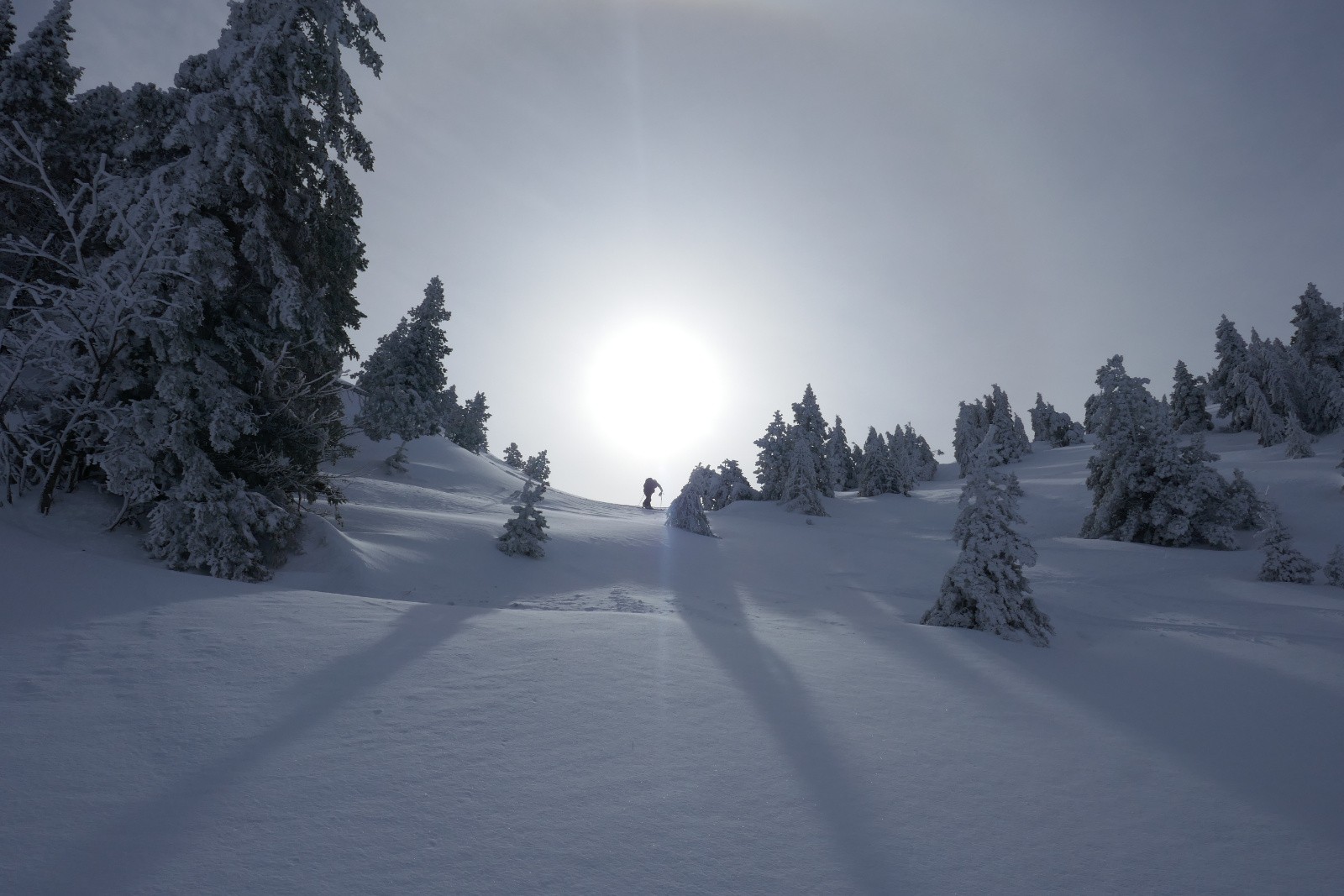 Steph', notre dieu ;) 