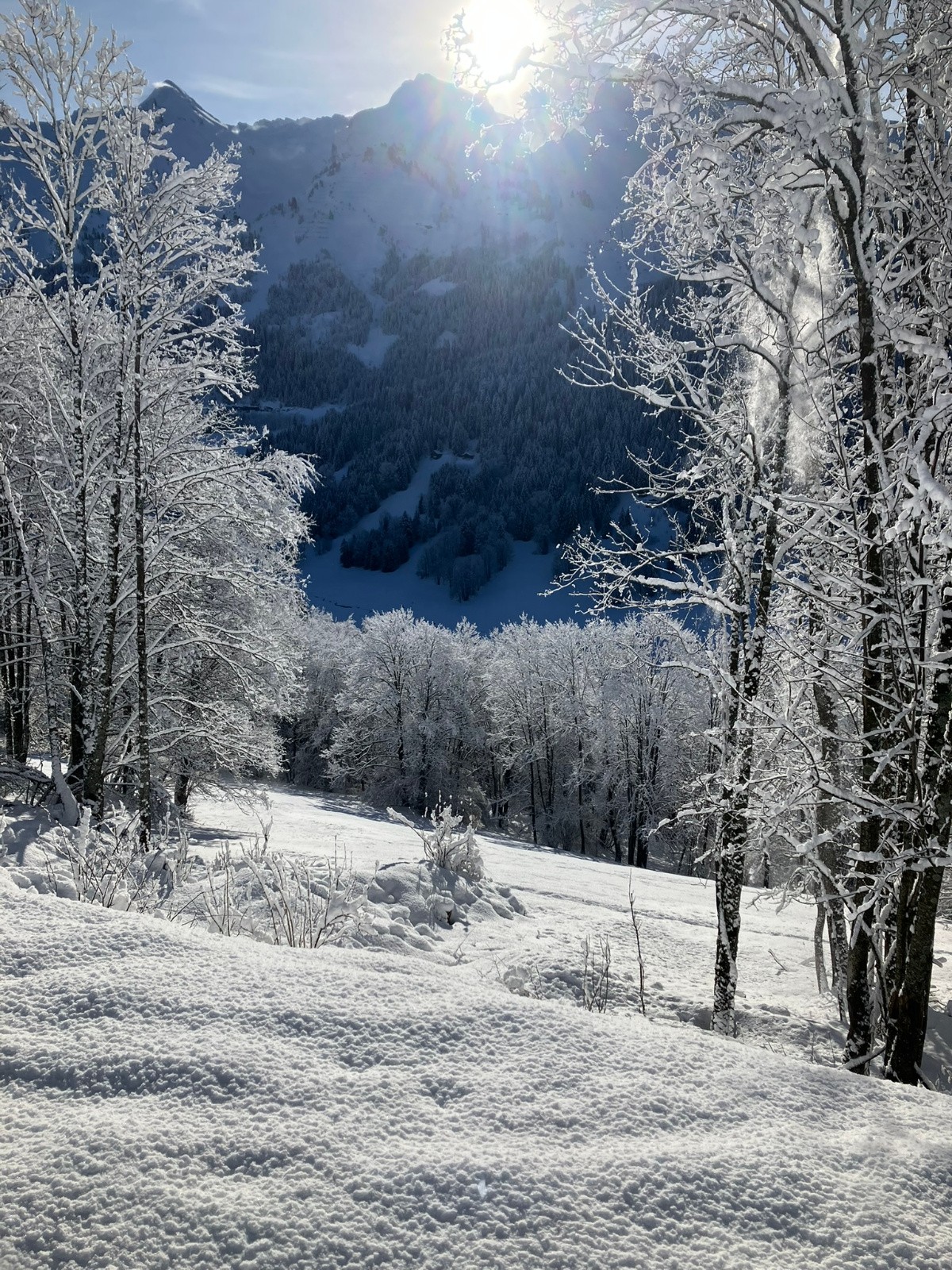 Pas tous les jours rempli comme ça