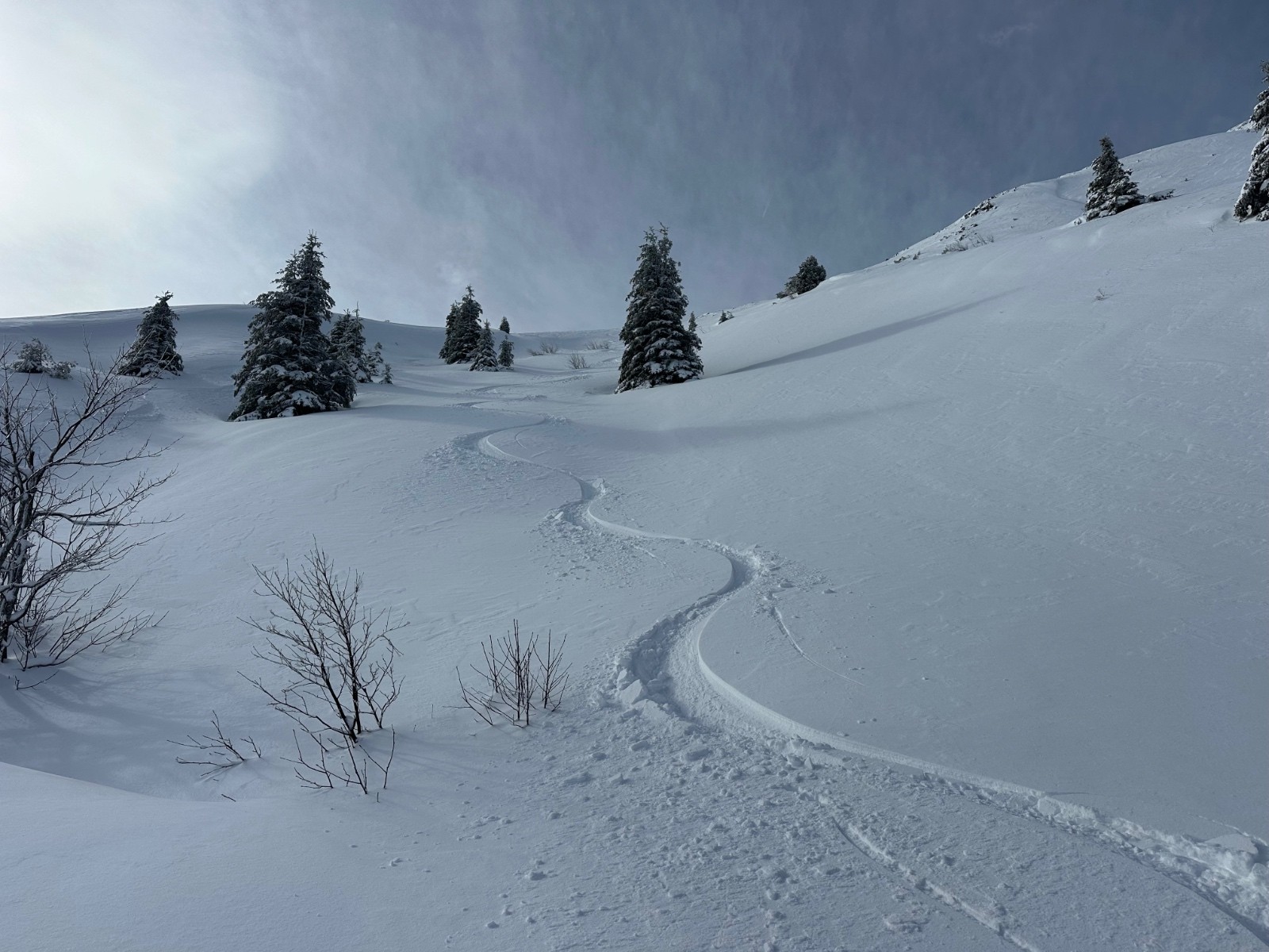 &nbsp;Neige idéale !