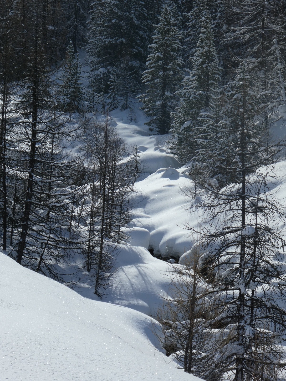 ruiseaus du valonnet&nbsp;