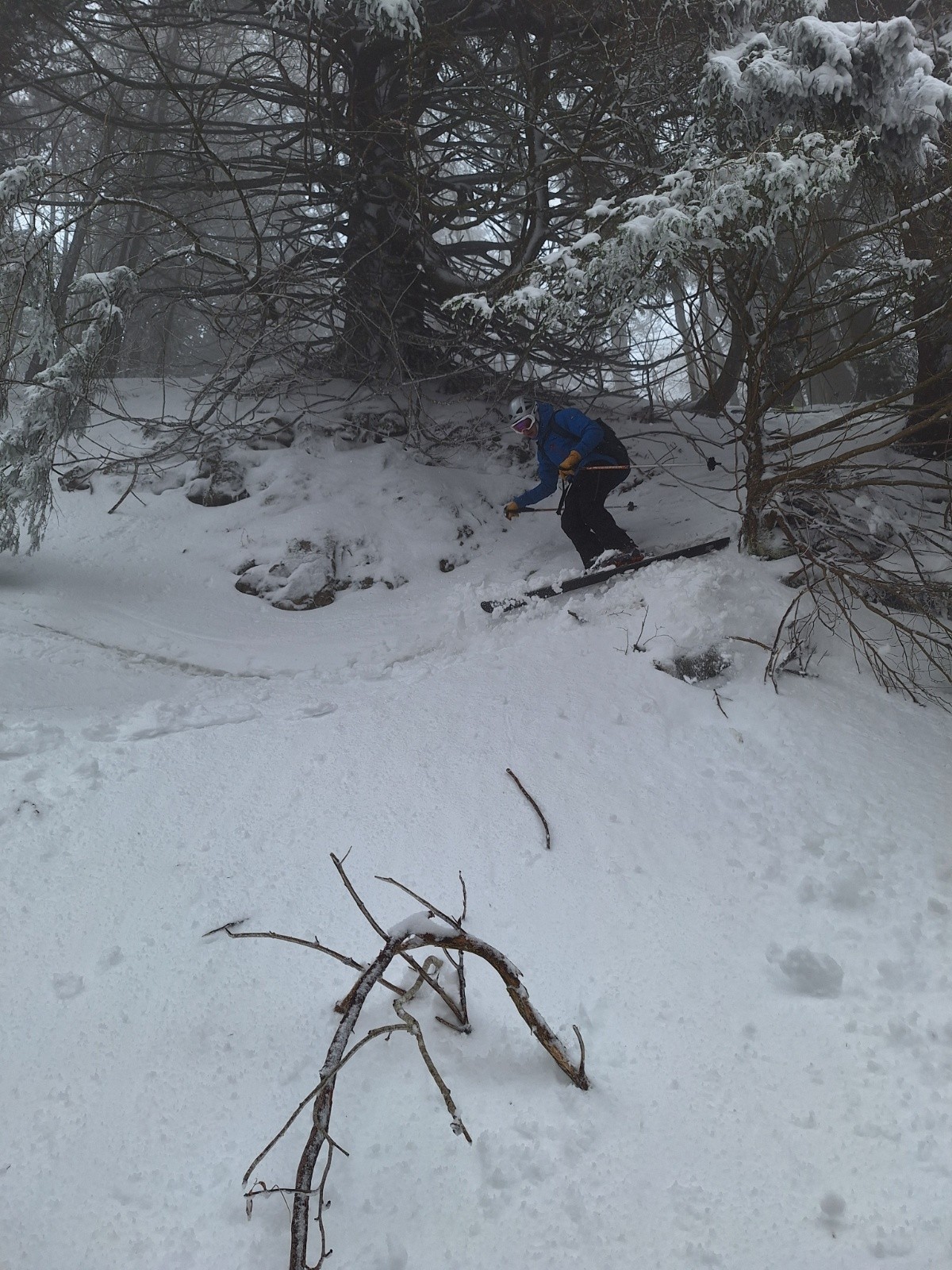 trou de souris&nbsp;