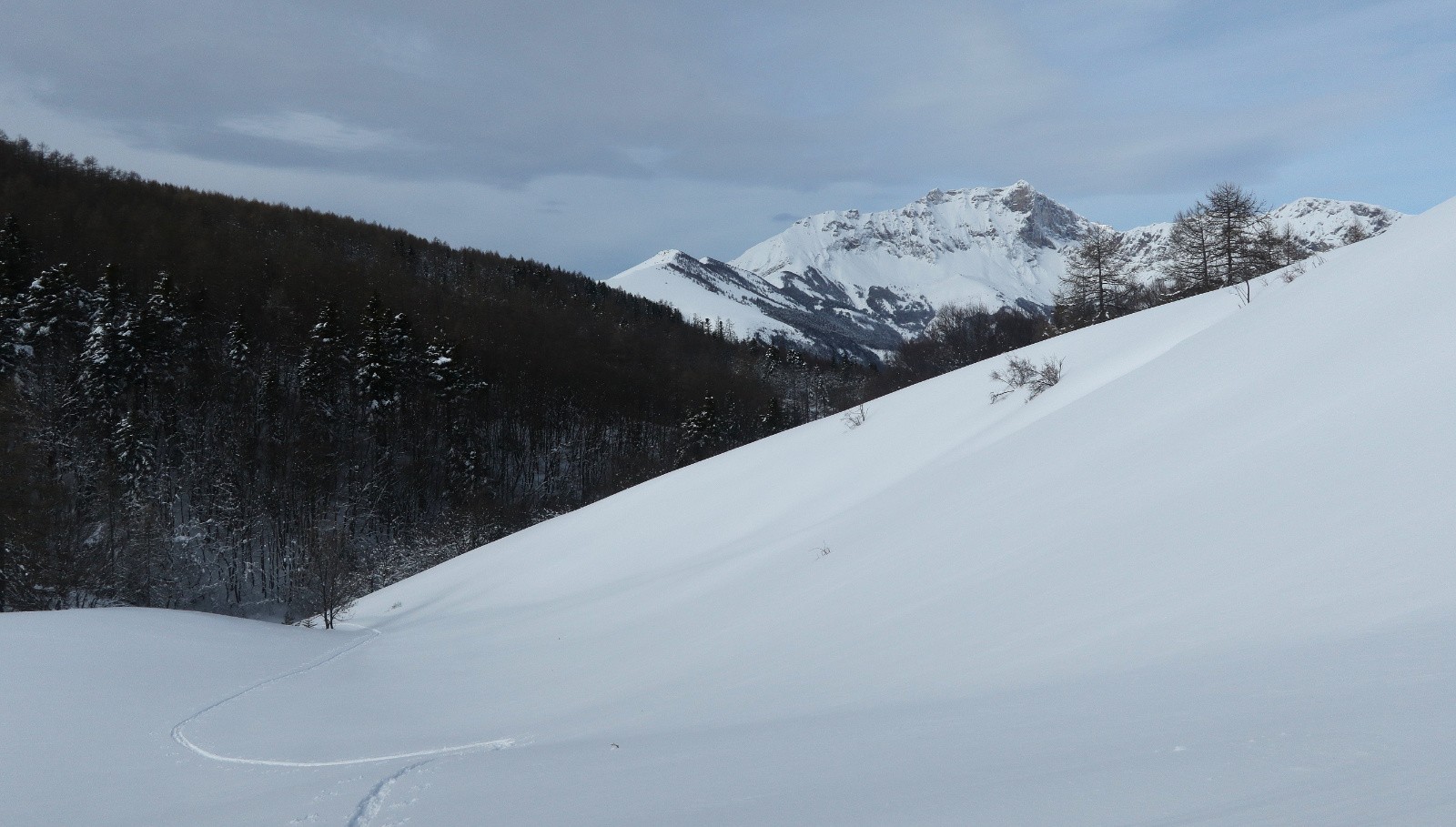 #7 A la sortie du bois de Tavanet A la sortie du bois de Tavanet