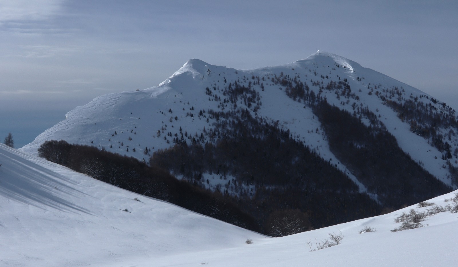 #6 Charance Charance