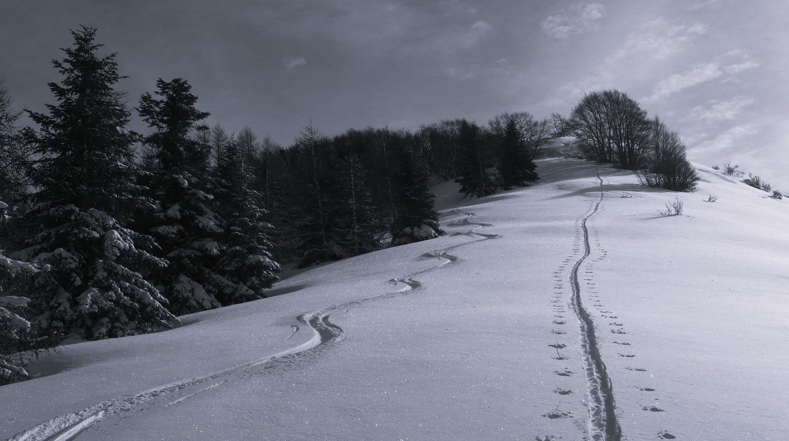 #4 Première descente avant le soleil ne se cache Première descente avant le soleil ne se cache