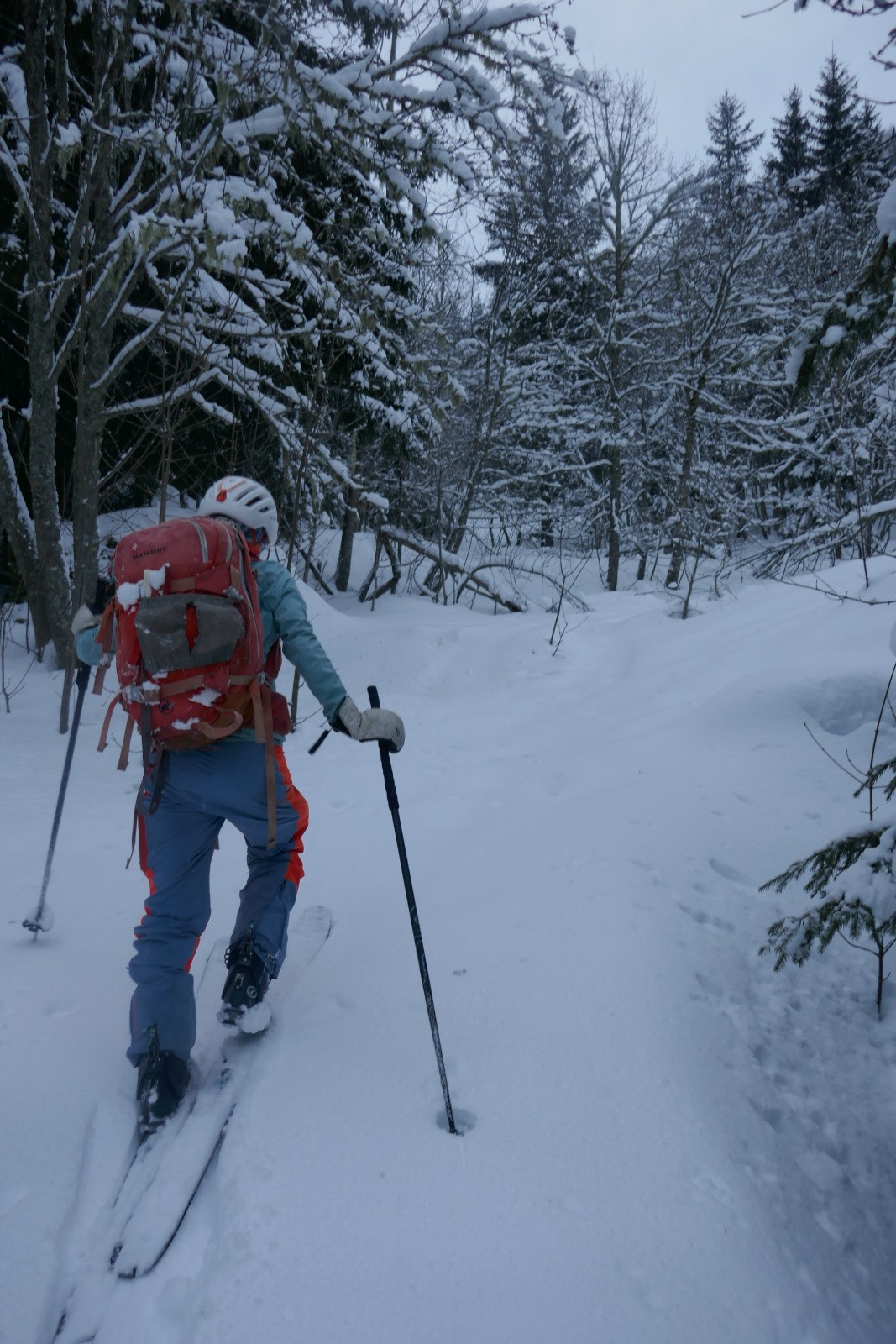 #3 Sans traces ! Sans traces !