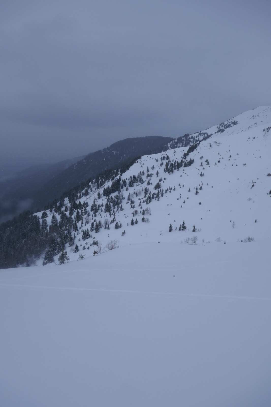 #9 Traçage en cours Traçage en cours