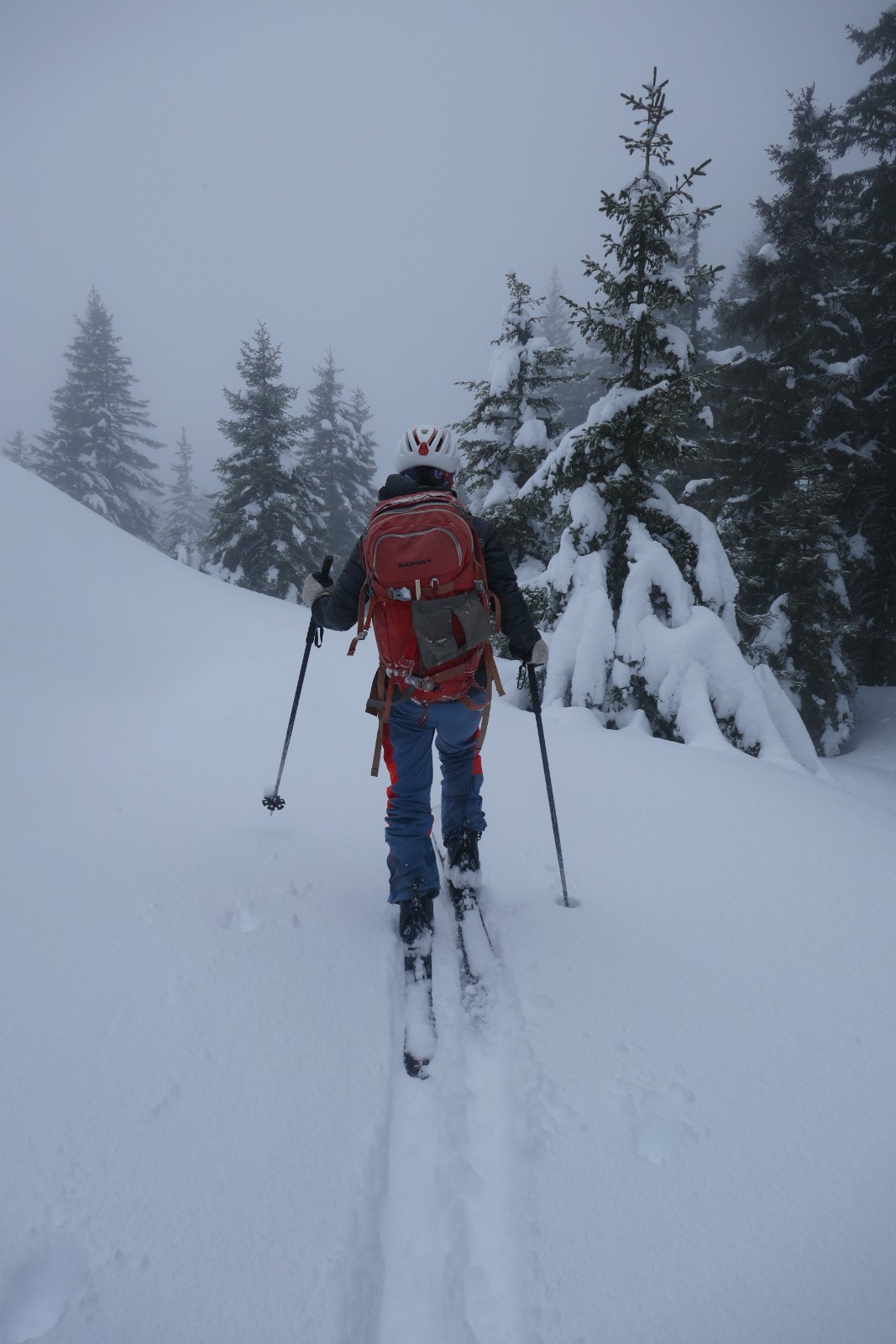 #18 Repeautage Repeautage