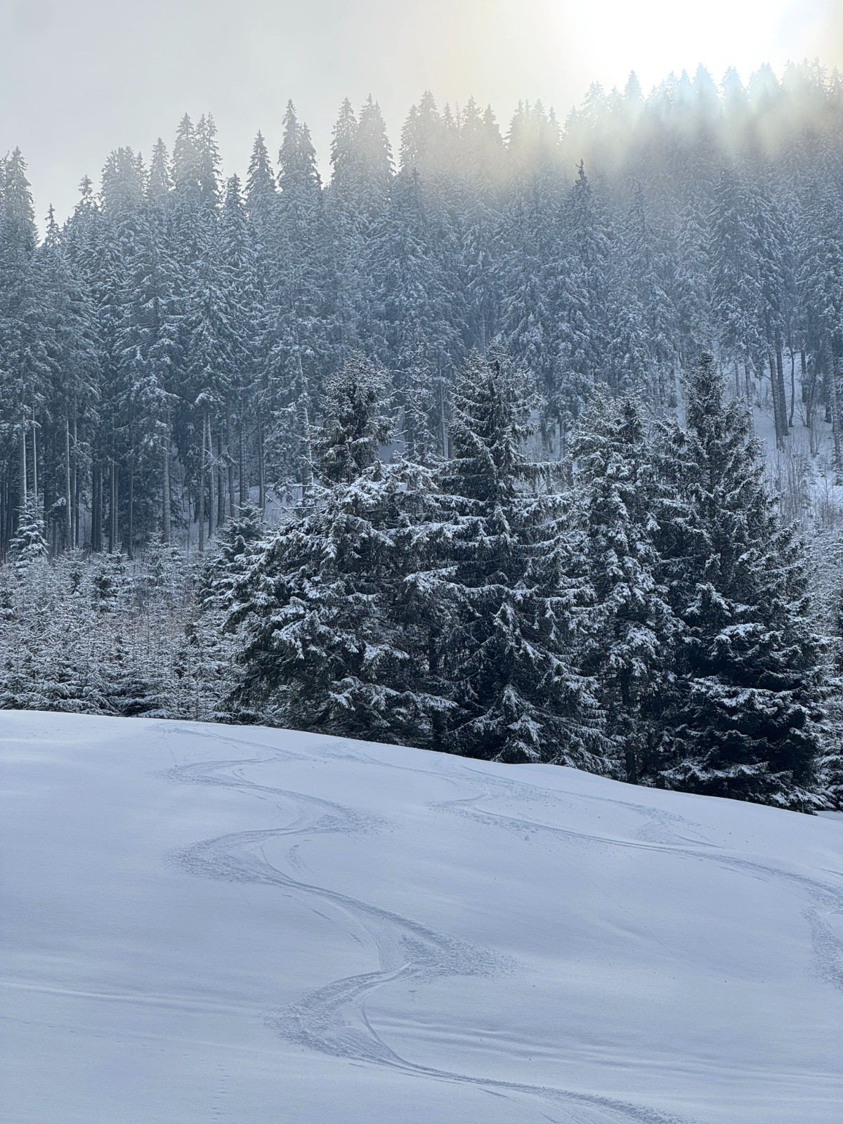 Belle neige de la nuit