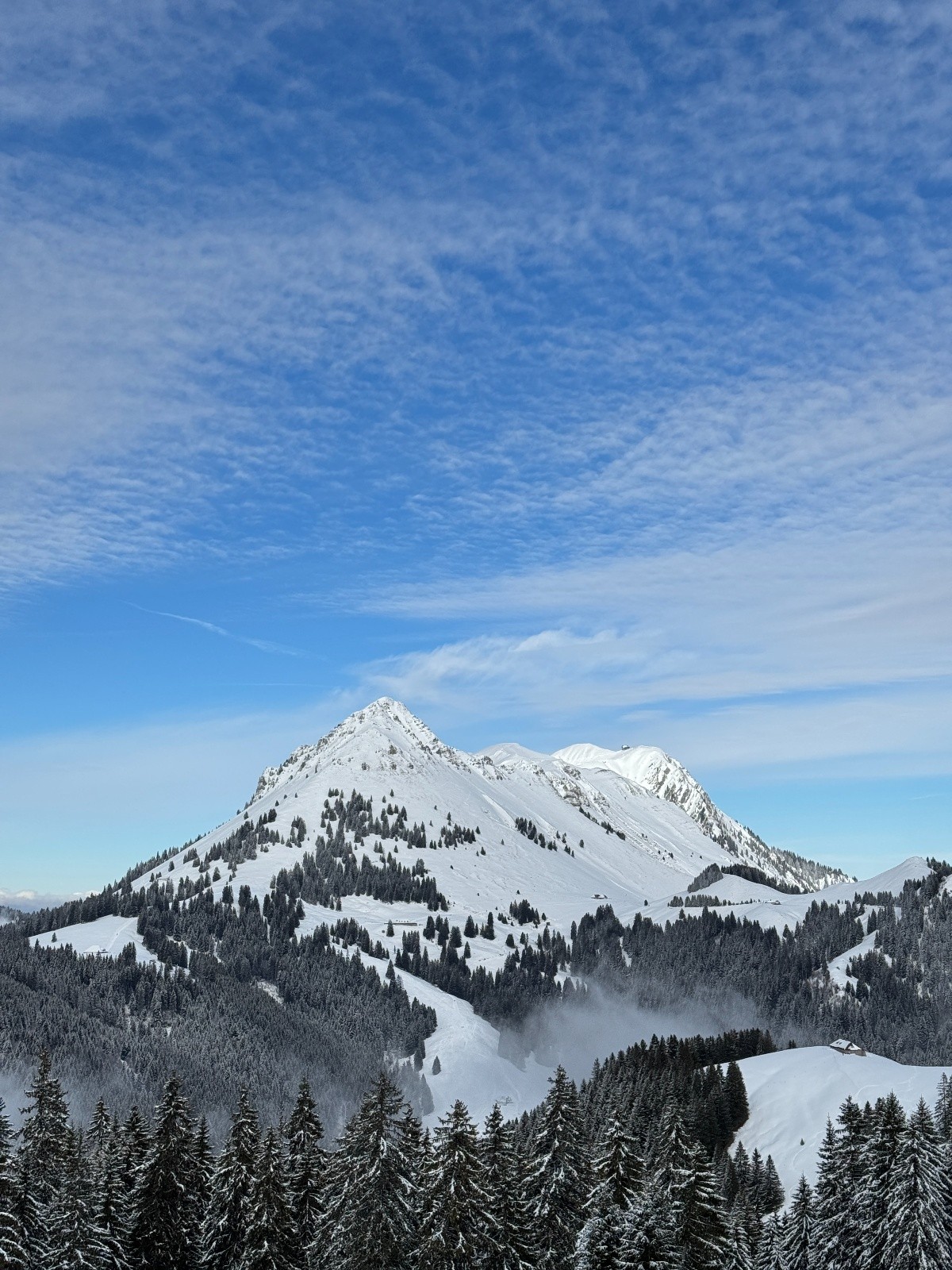 Teysachaux et le Moléson