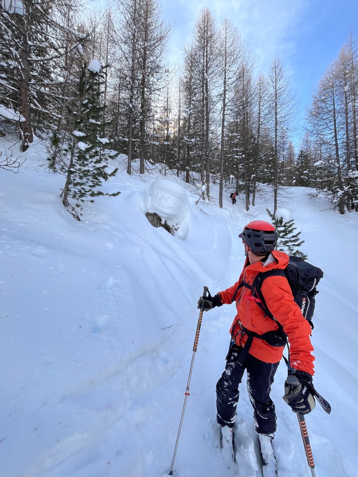 &nbsp;Et oui faut tourner avant les arbres !