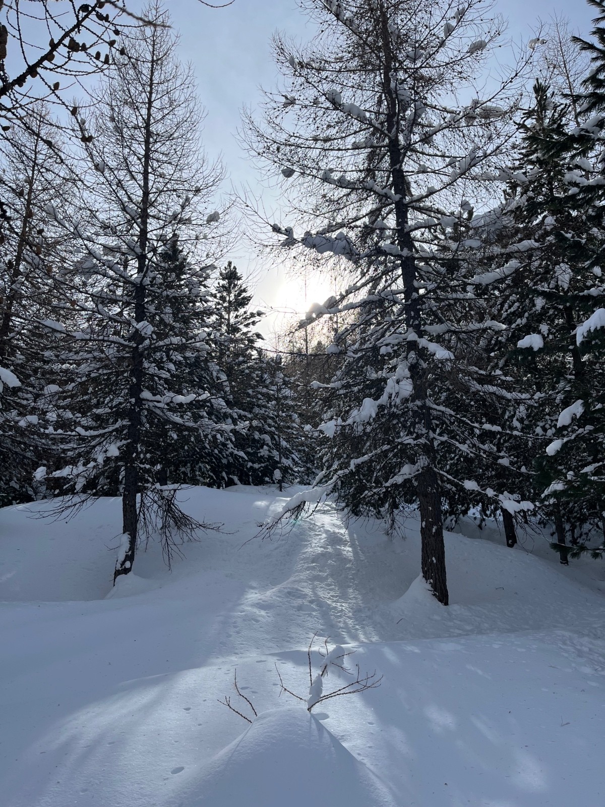 Et la lumière indiquera le chemin…