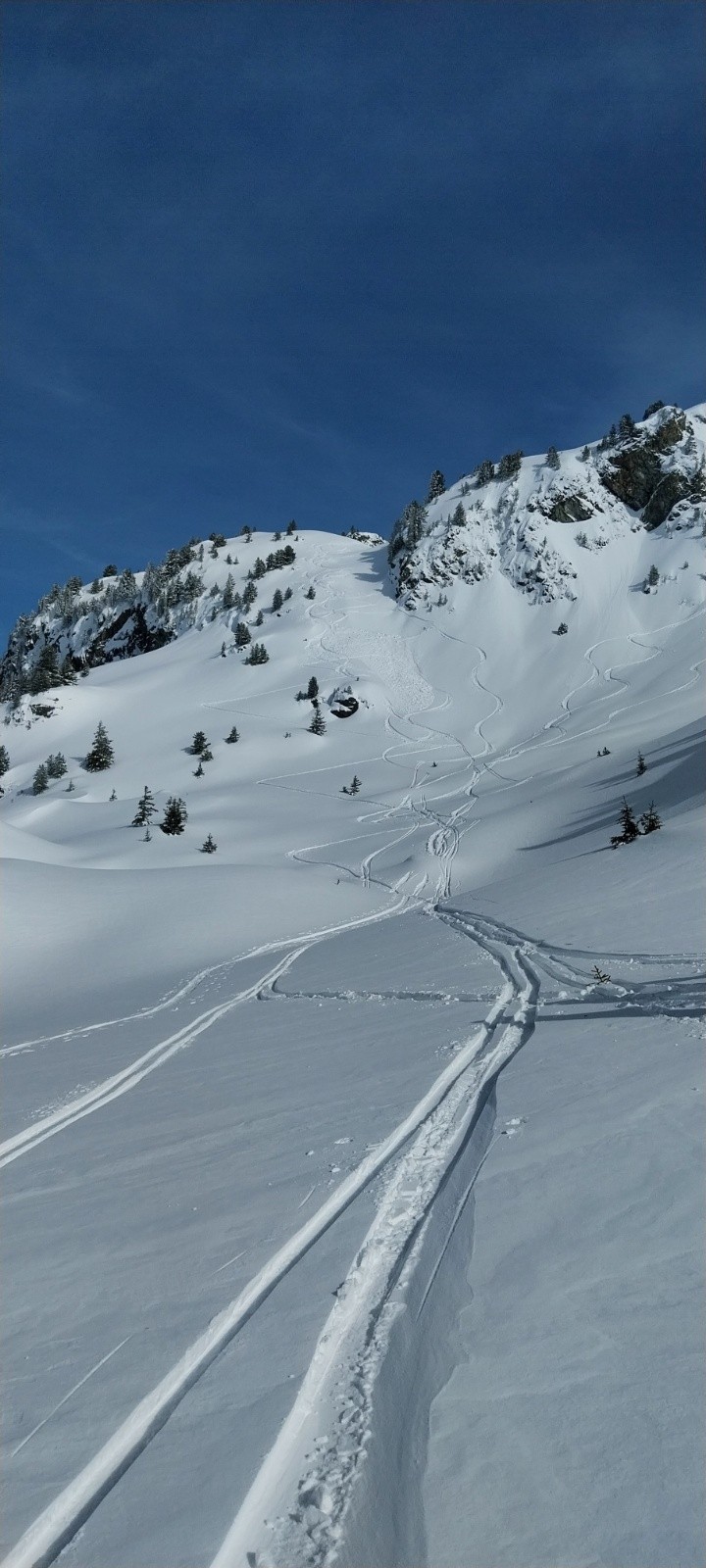 &nbsp;Le petite plaque