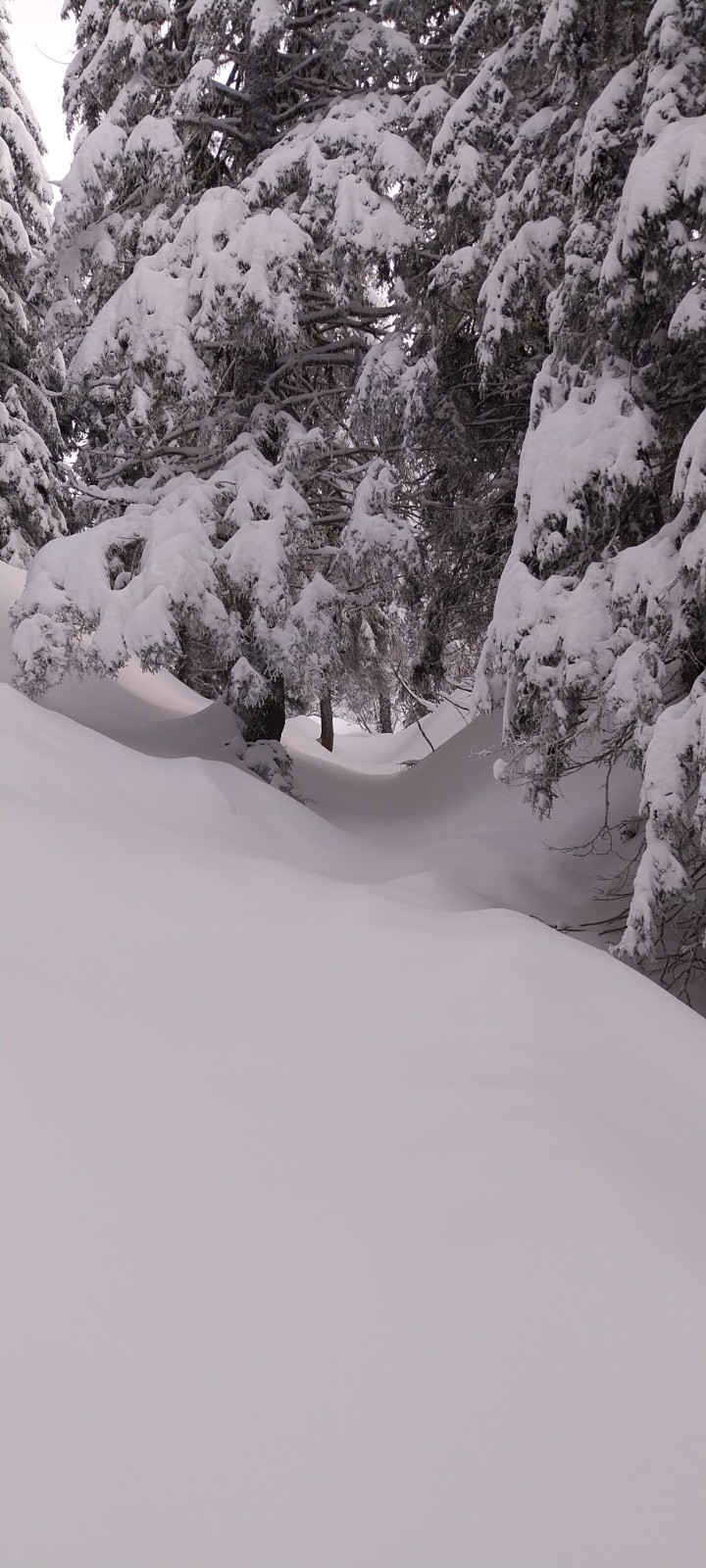 On ouvre le chemin&nbsp;