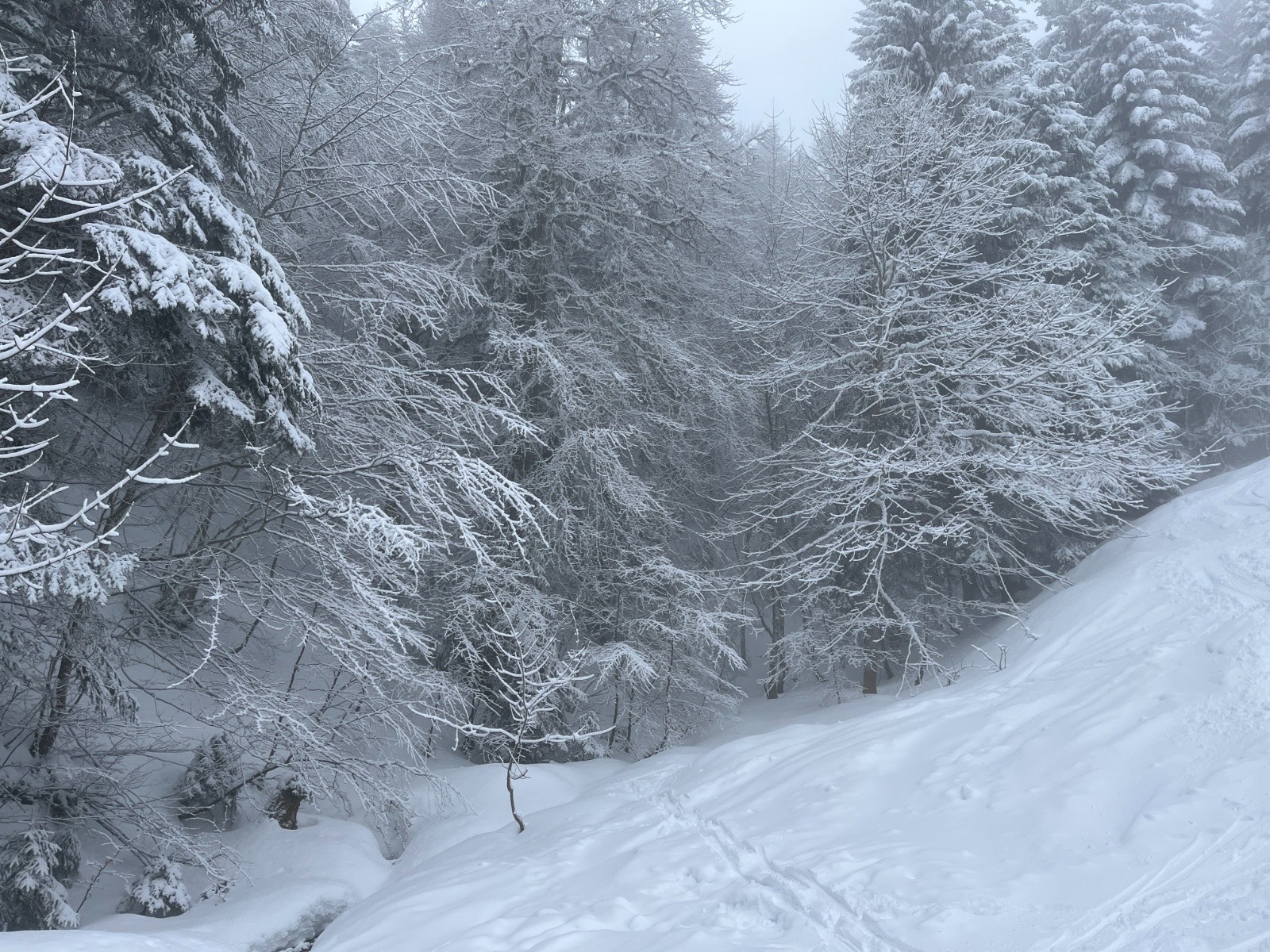 &nbsp;Départ sous les nuages