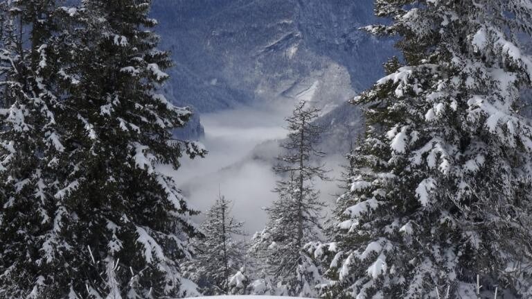 image Anne-Sibylle - brumes sur la route de St Pierre