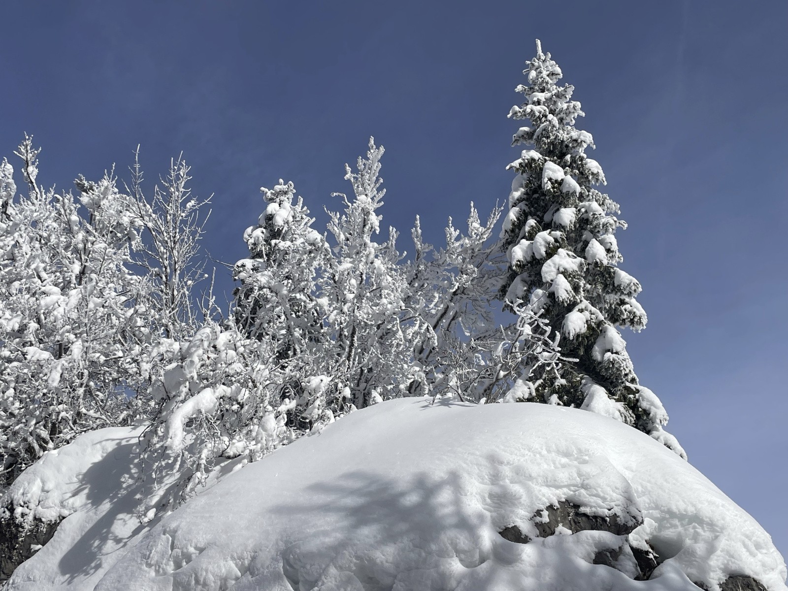 paraît qu'il fait toujours gris en Chartreuse&nbsp;