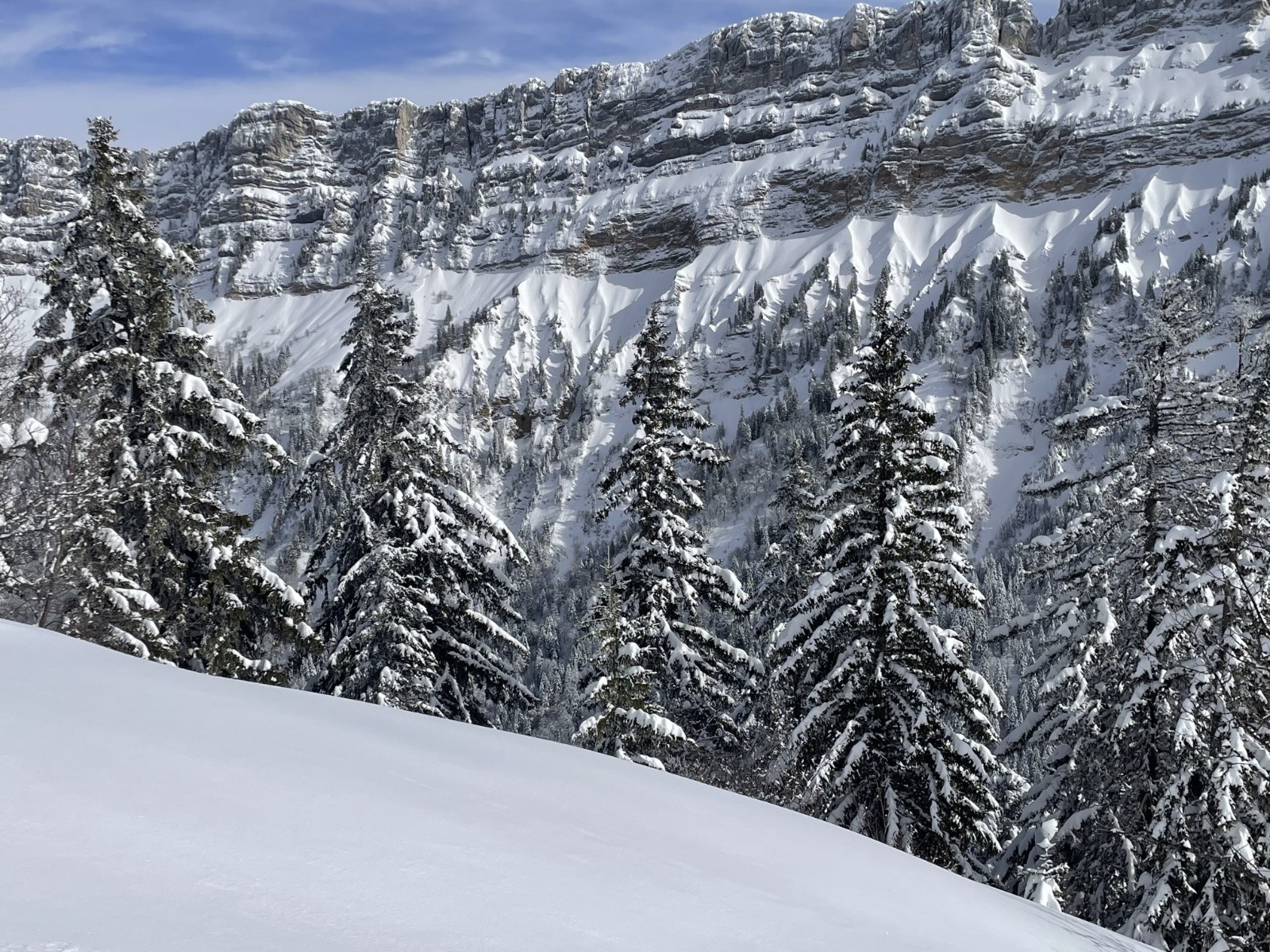 les contreforts des Lances de Malissard&nbsp;