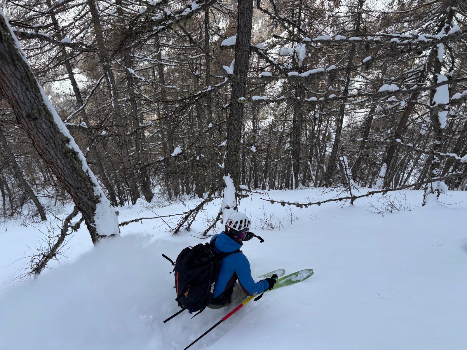 &nbsp;Plein N dans les Mélèzes
