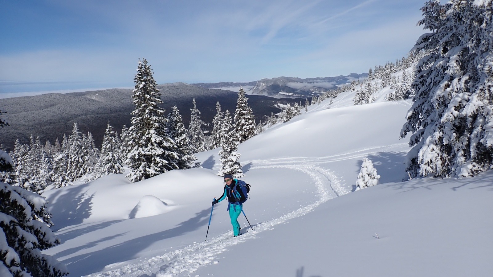 &nbsp;Tricotage dans les sapins