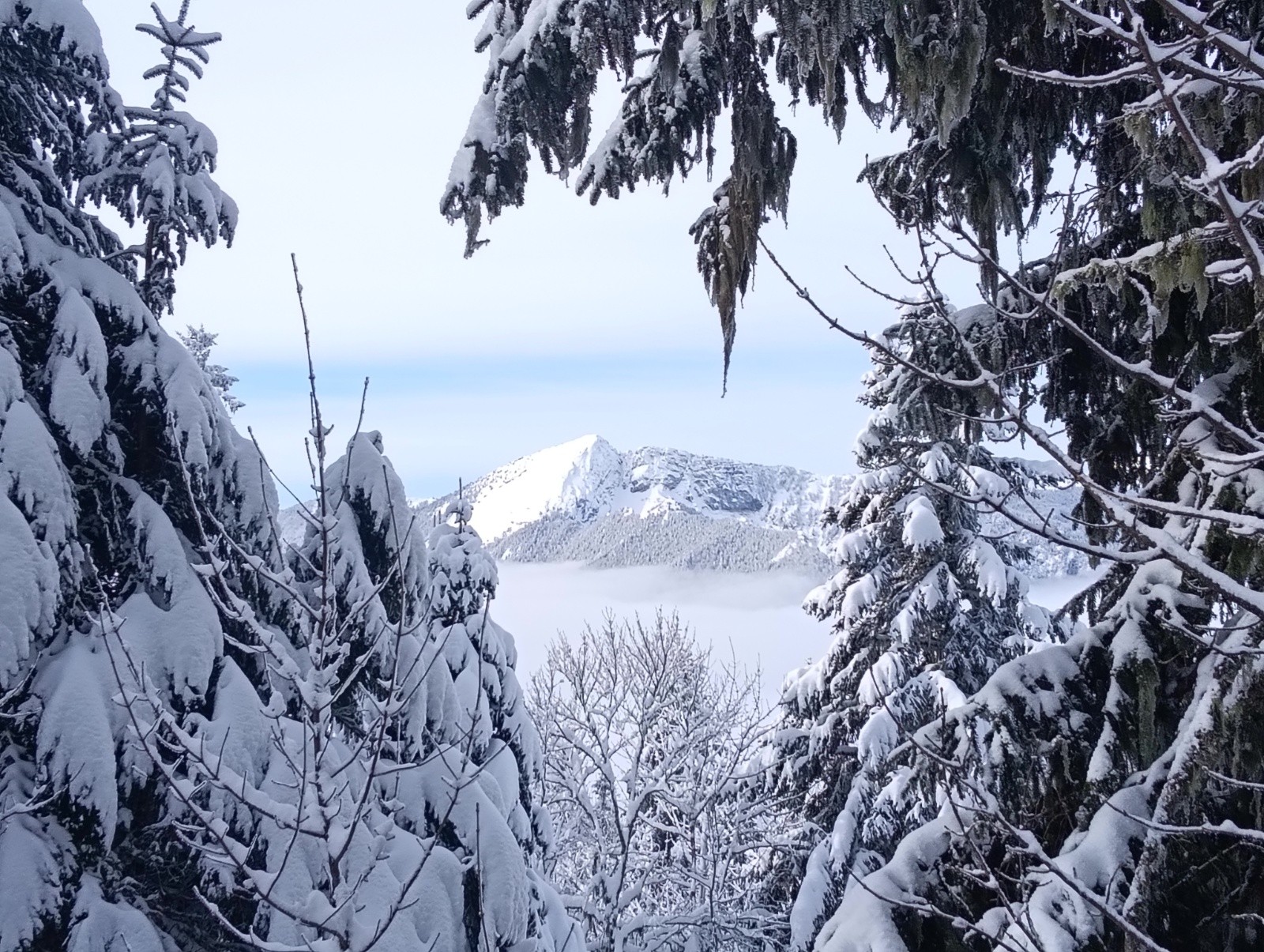 Fenêtre sur le Grand Som&nbsp;
