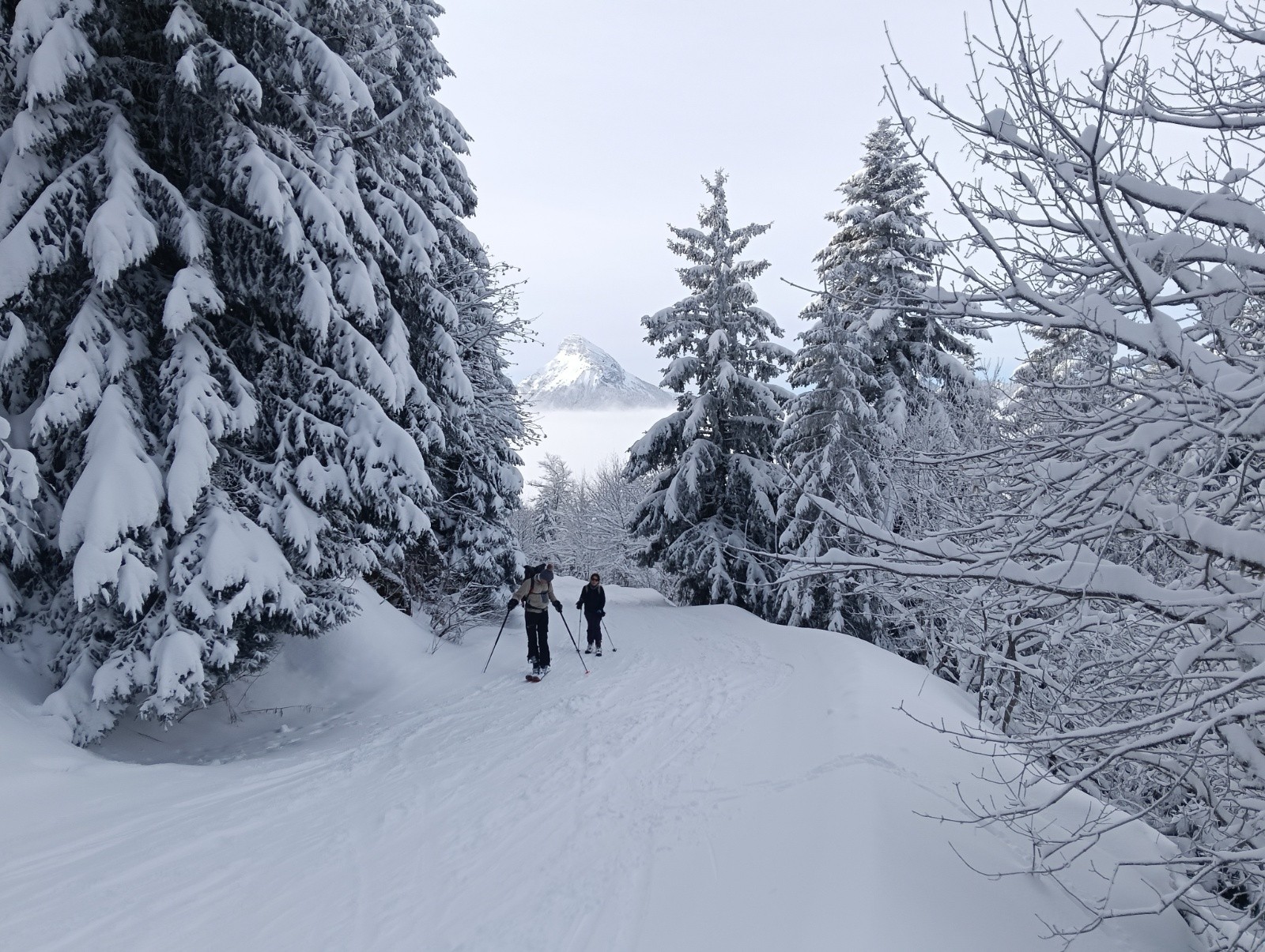 Poursuite de la marche avec panorama&nbsp;&nbsp;