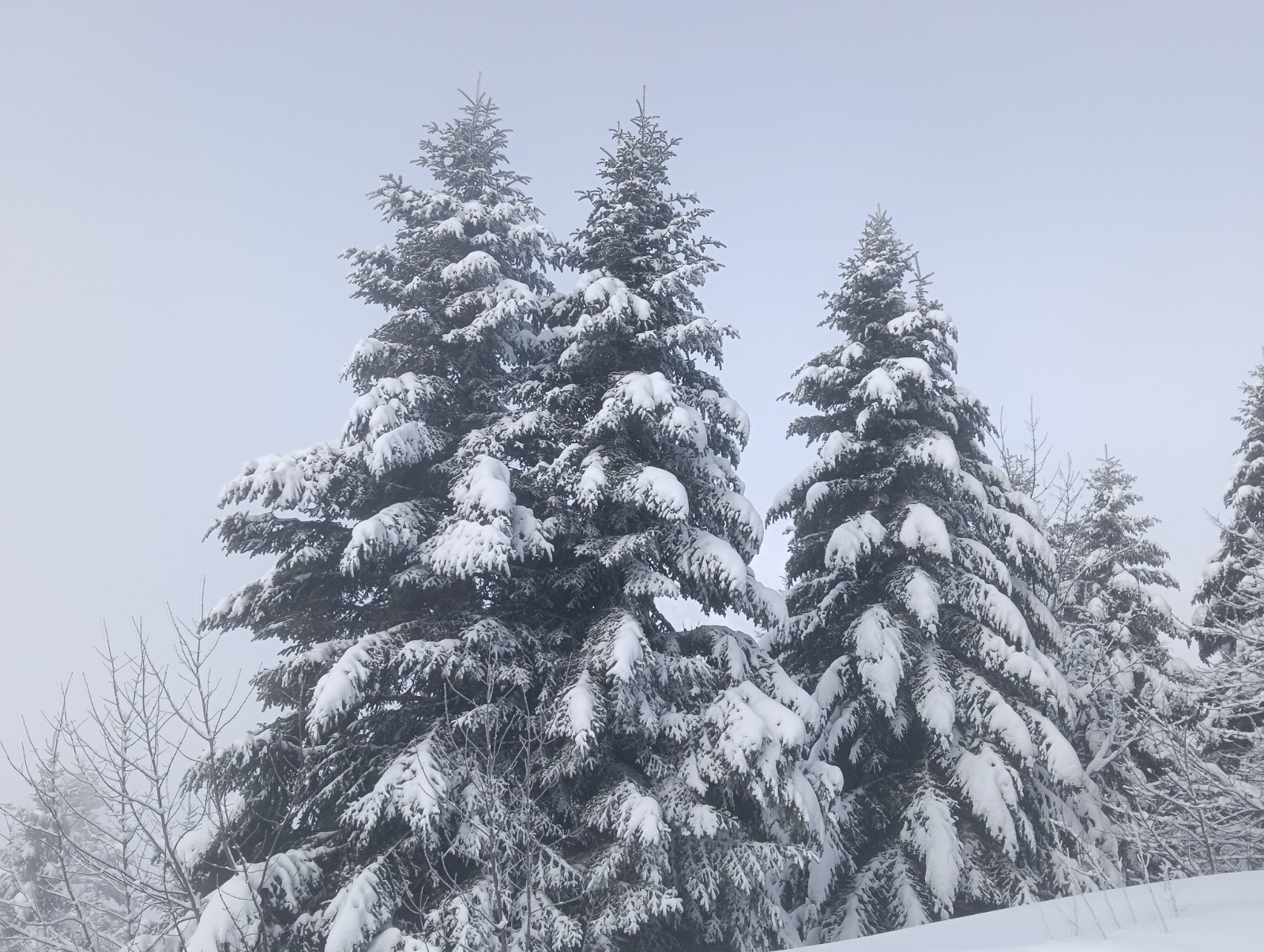 &nbsp;Ca s'améliore&nbsp;